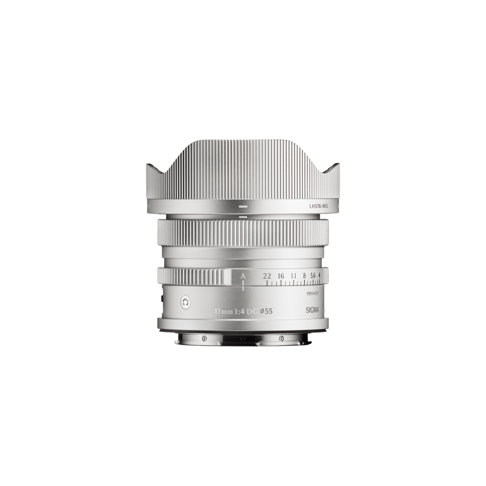 17mm F4 DG